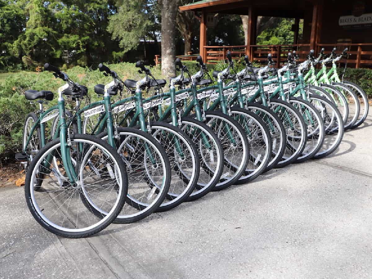 Bikes lined up at bike rental shop.