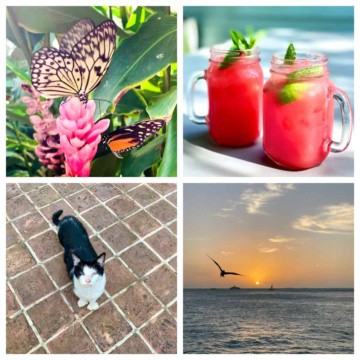 Key West Florida collage of things to do.