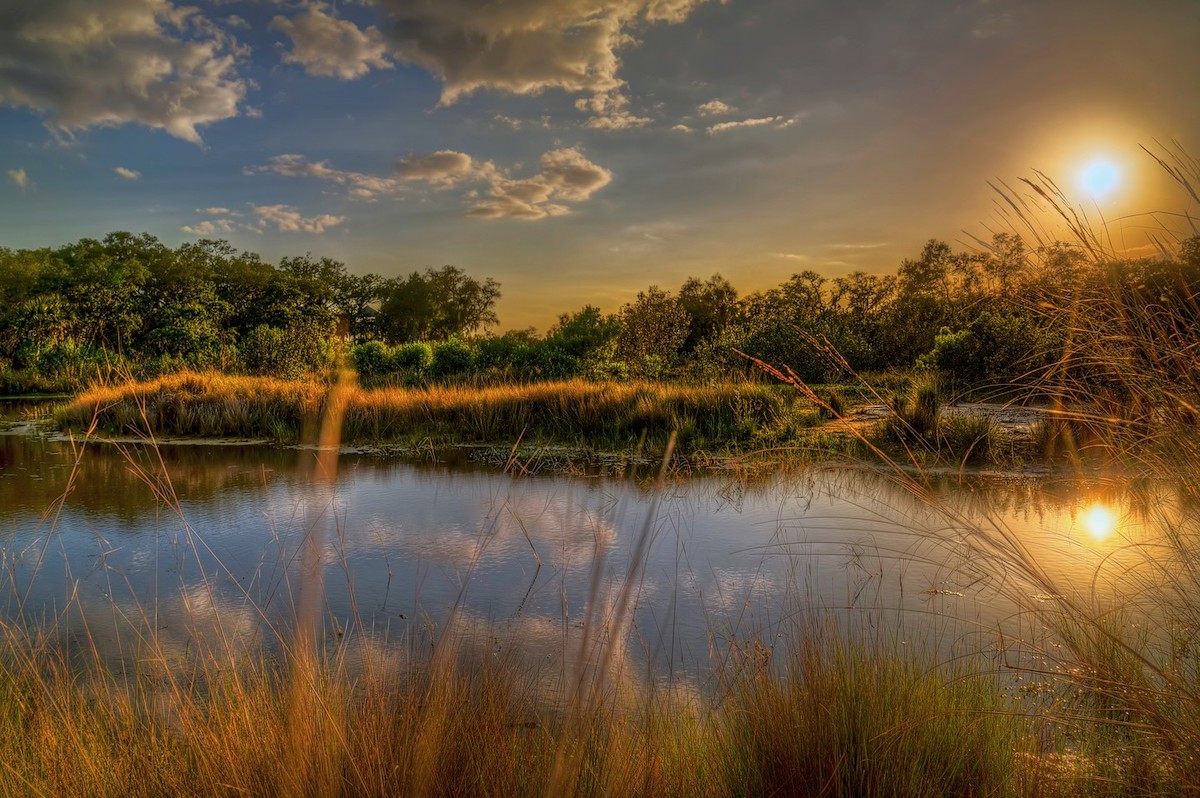 Neal Preserve in Bradenton.