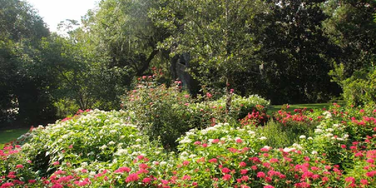 Airlie Gardens in the Wilmington Beaches