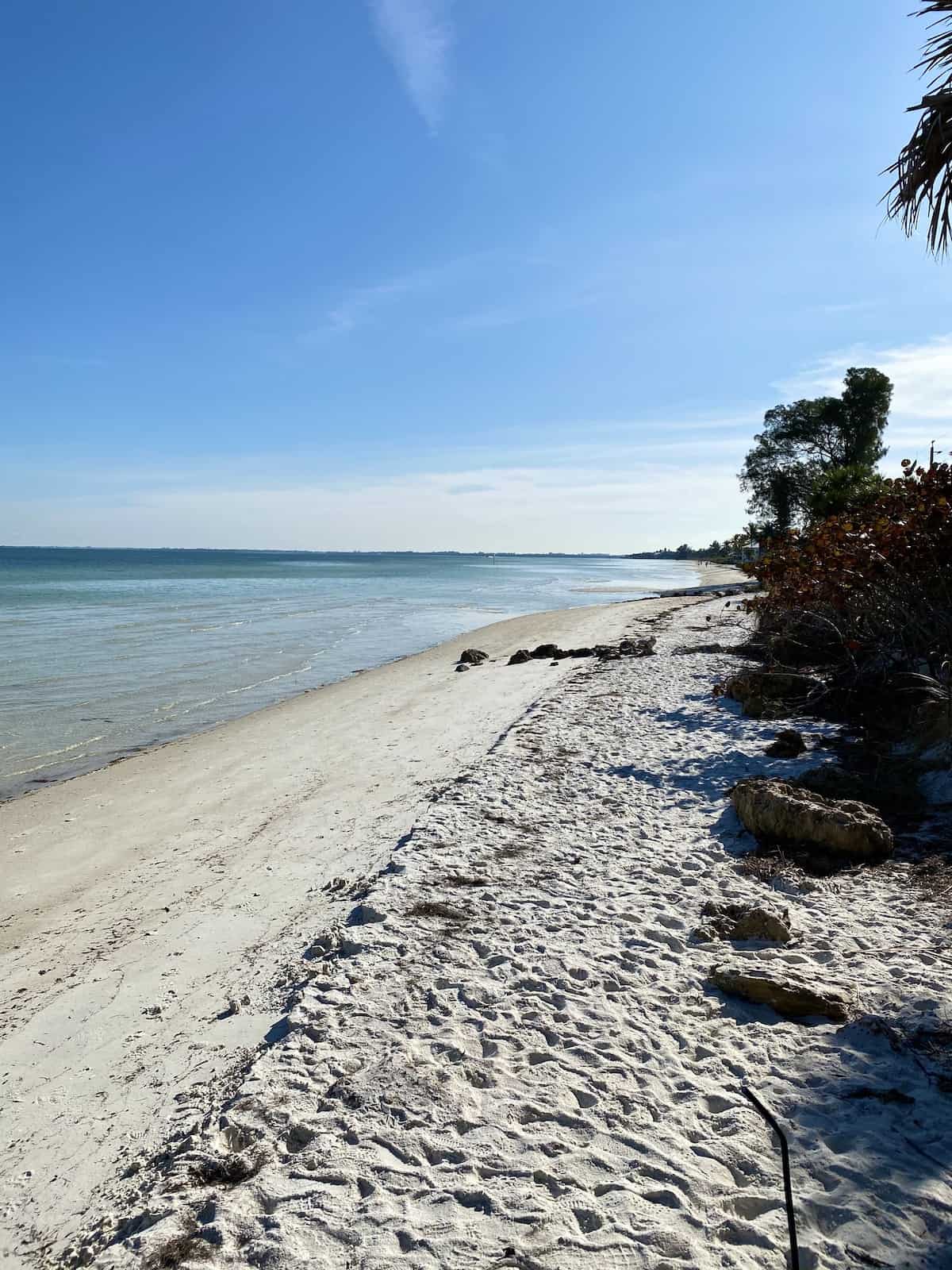 Beach with trees on right side.