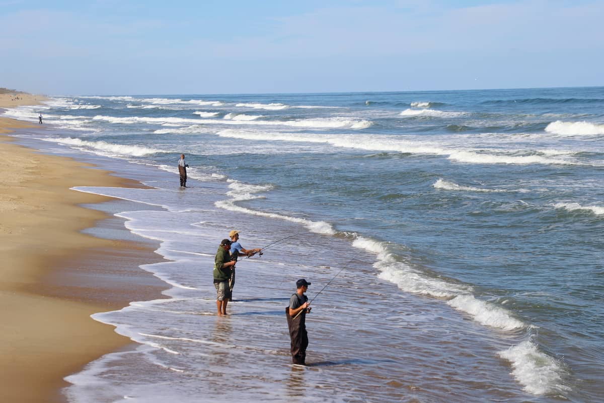 Men surf fishing