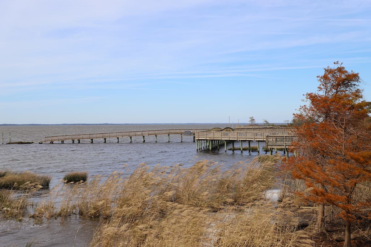 Duck Boardwalk in North Carolina.