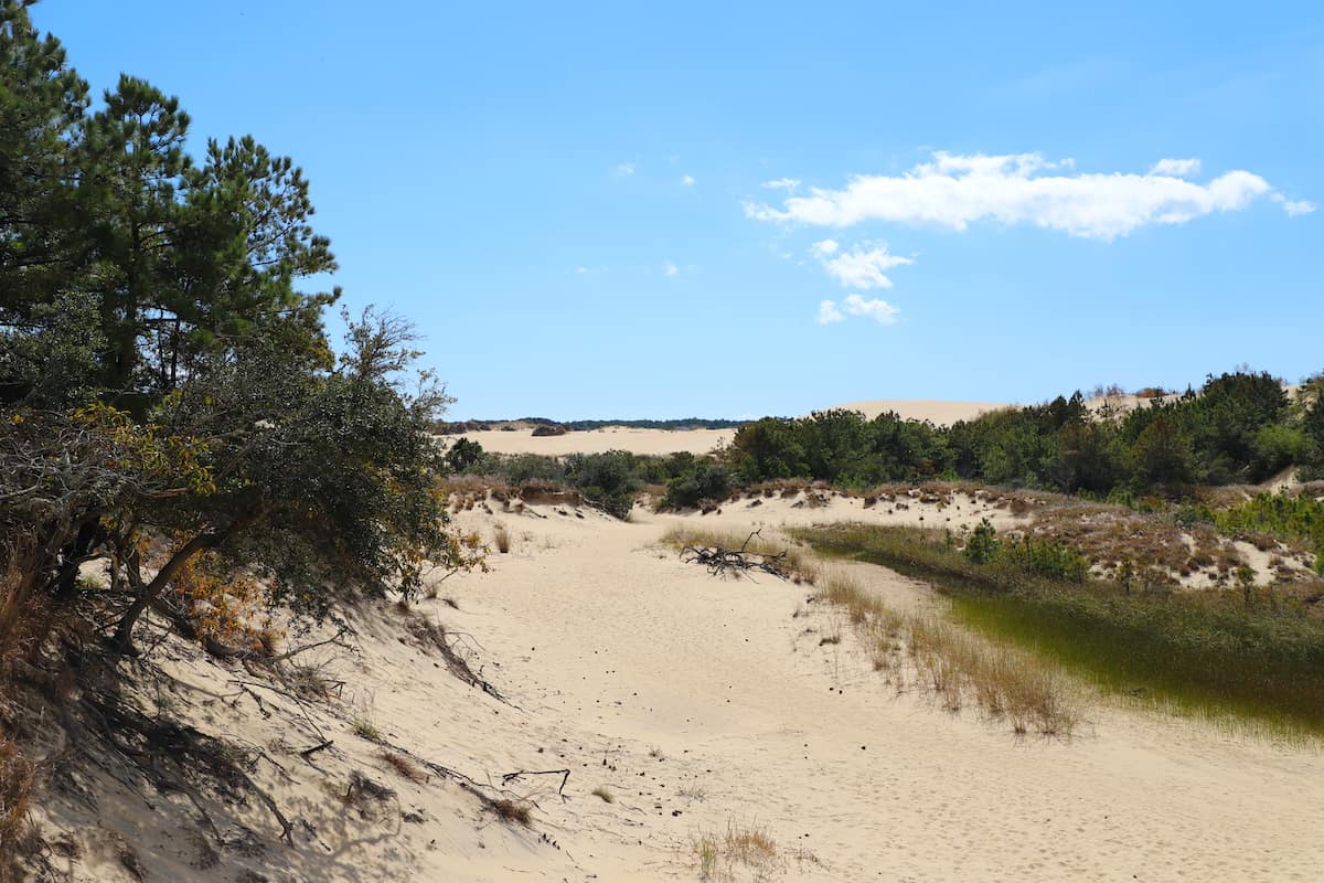 Sand dunes