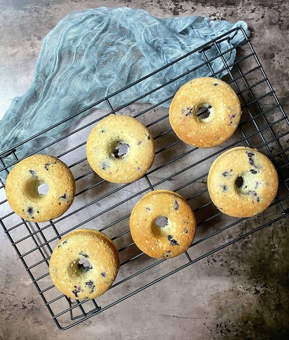 Baked blueberry cake donuts on a wire rack on a table with a blue cloth.