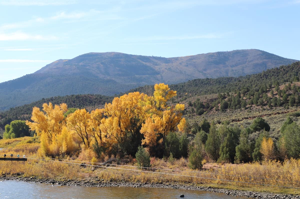 View of trees and bushes in fall colors.