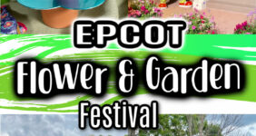 Collage to show Epcot Flower & Garden activities.