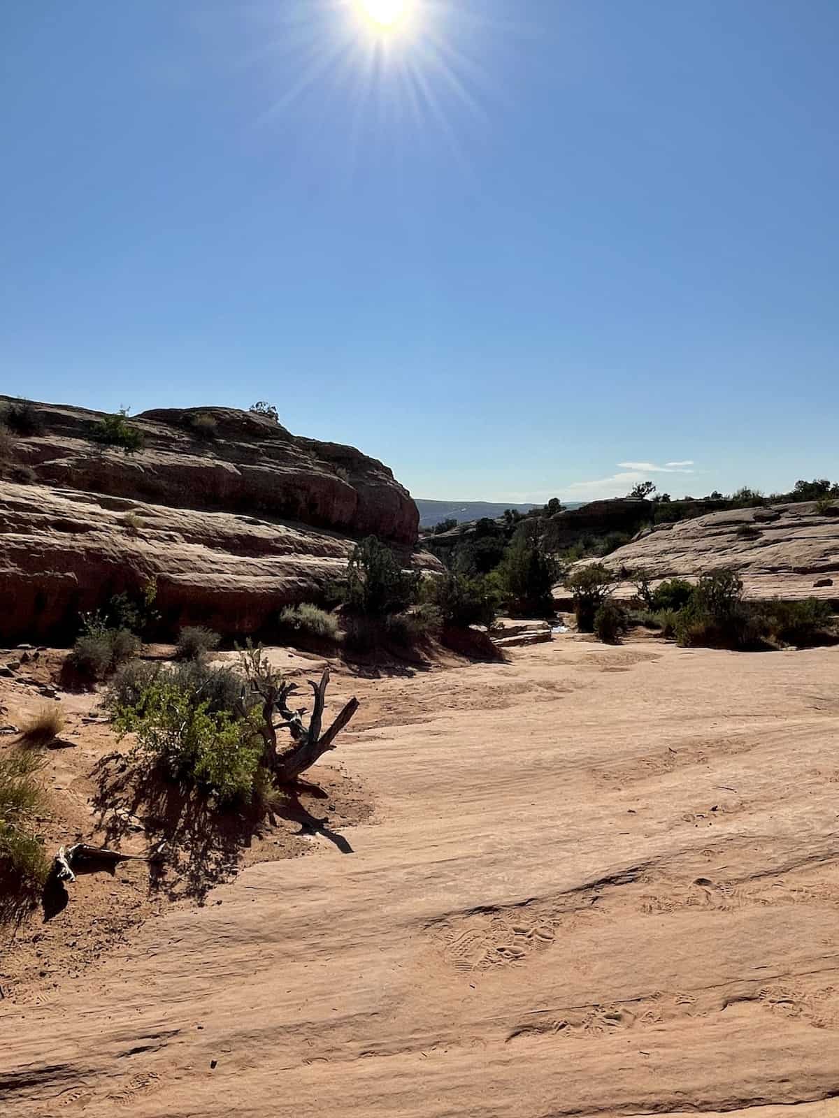 Trail to Delicate Arch at Arches National Park.