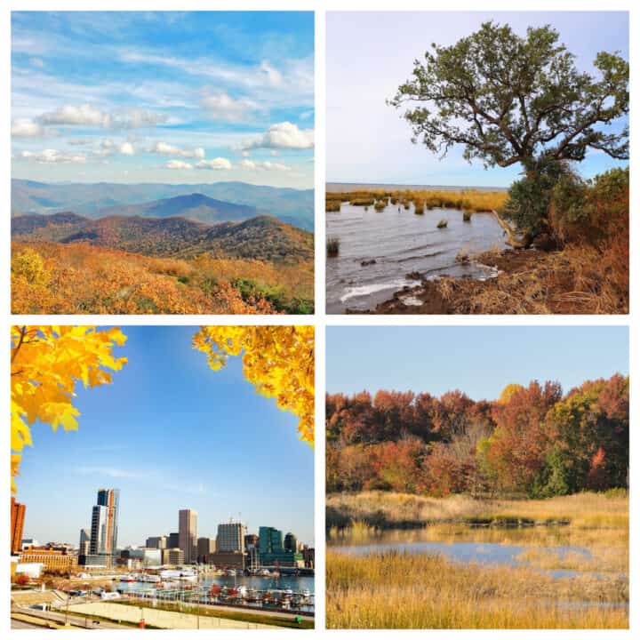 Best Places to See Fall Foliage on the East Coast Food Fun & Faraway