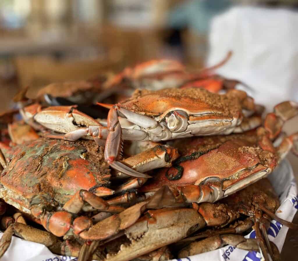 27 Easy Crab Meat Recipes - Food Fun & Faraway Places