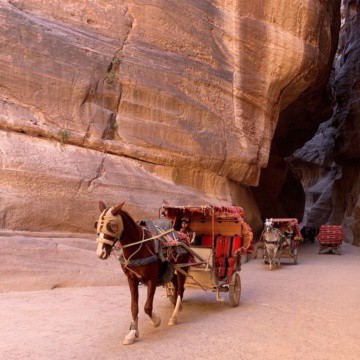 Horse drawn carriage in Petra Jordan.