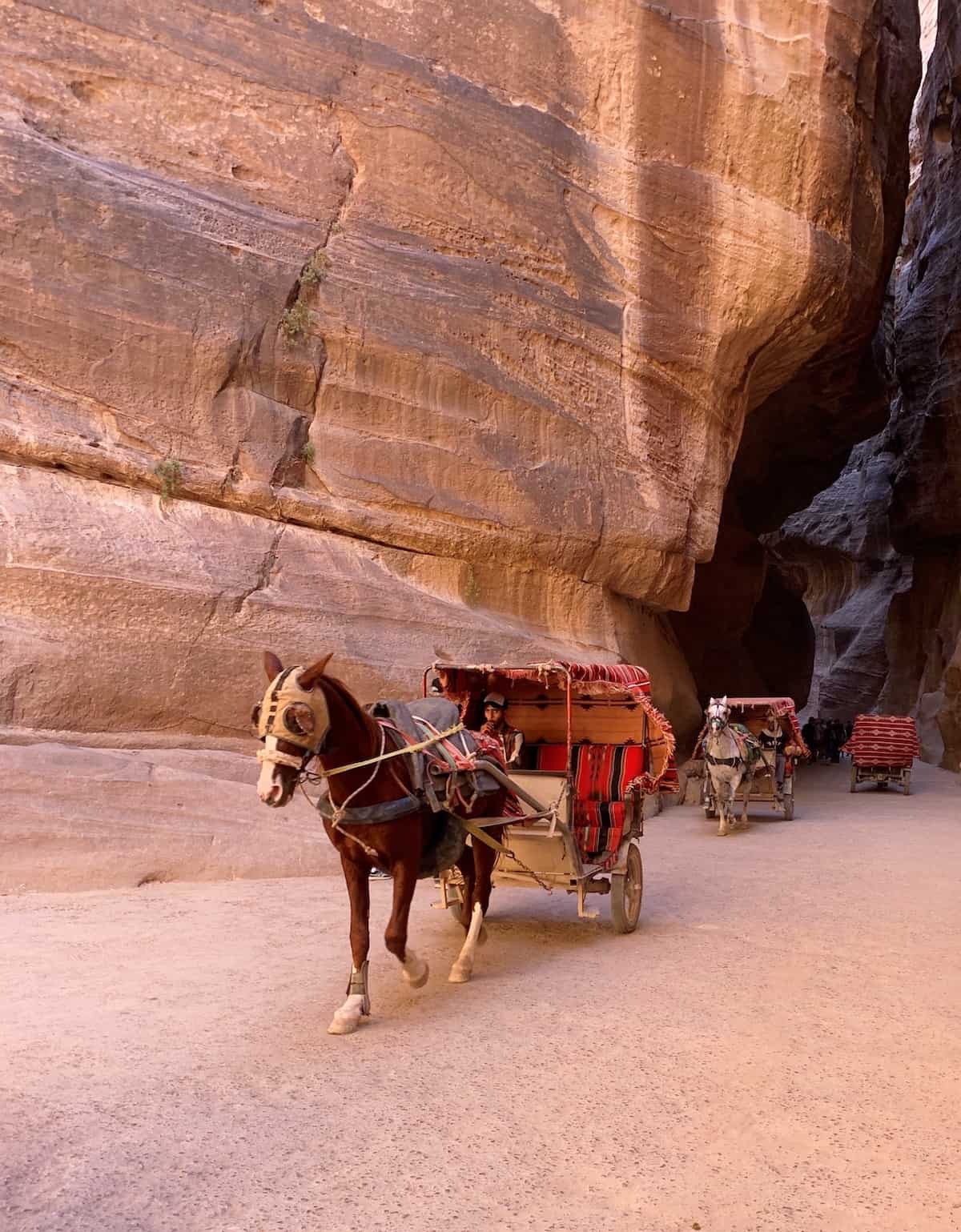 Horse pulling rider in Petra Jordan.