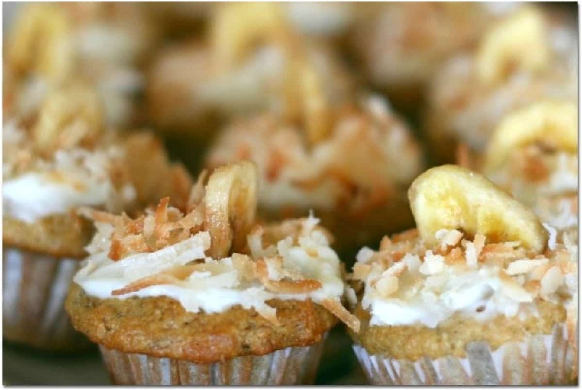 Banana muffins with slice of dried banana and coconut.