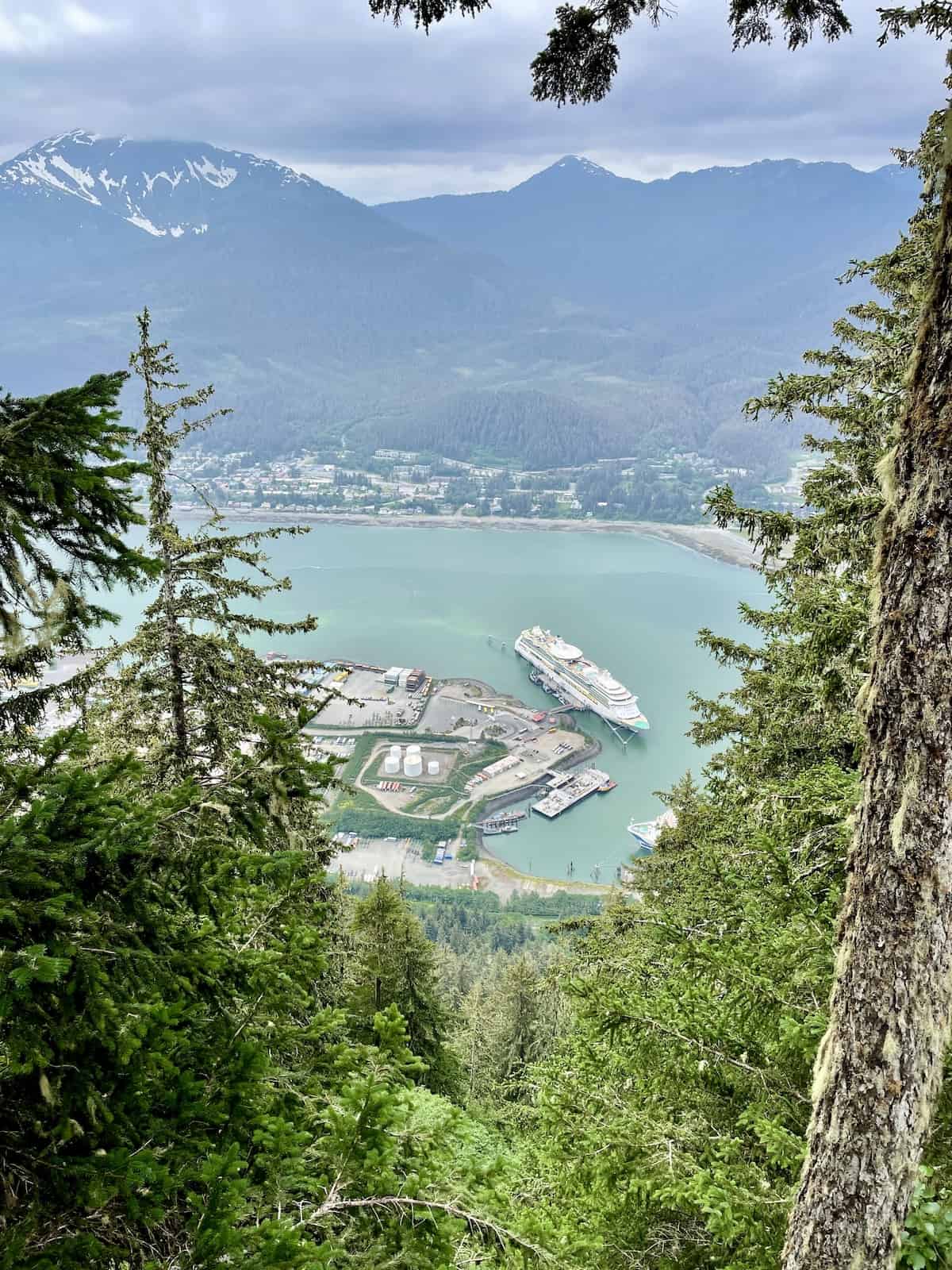 View of cruise ships from Mount Roberts.