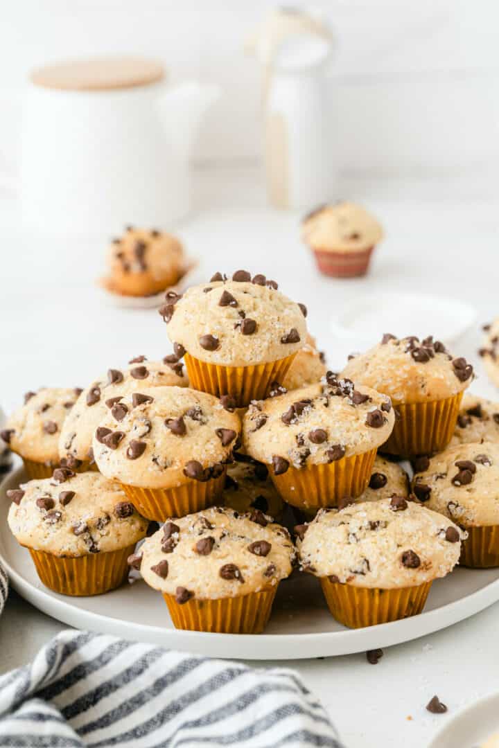 Chocolate Chip Mini Muffins Recipe World Food Taste