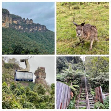 Collage with mountains, kangaroo, railway, cable car.