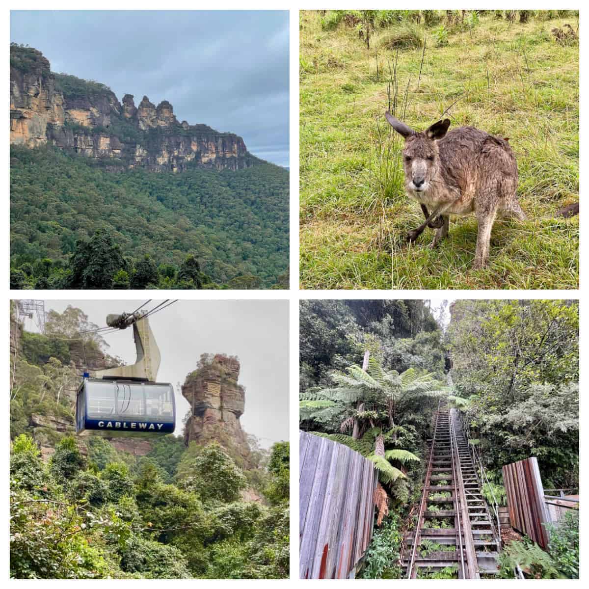 Collage with mountains, kangaroo, railway, cable car.