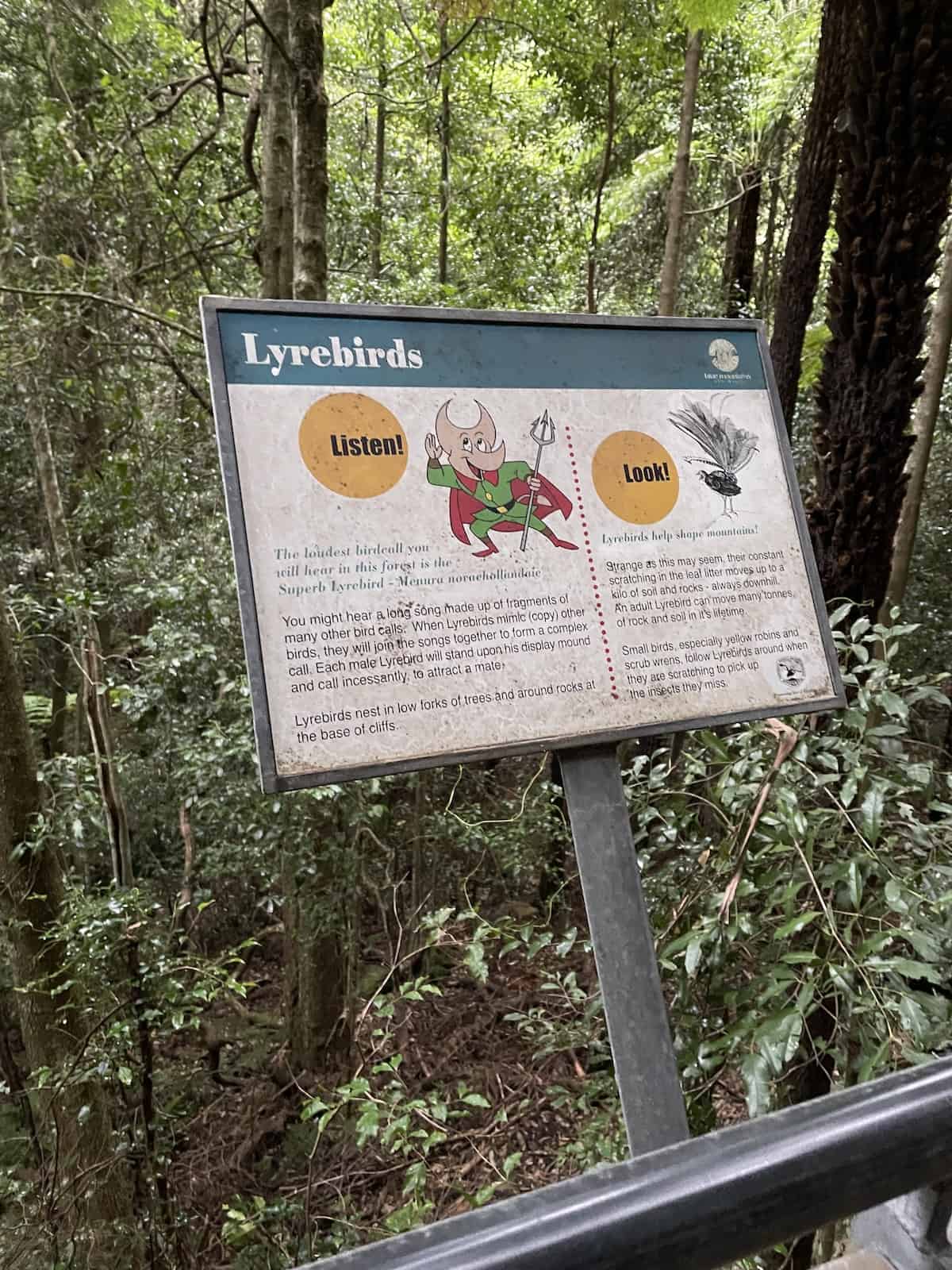 Sign about Lyrebird.