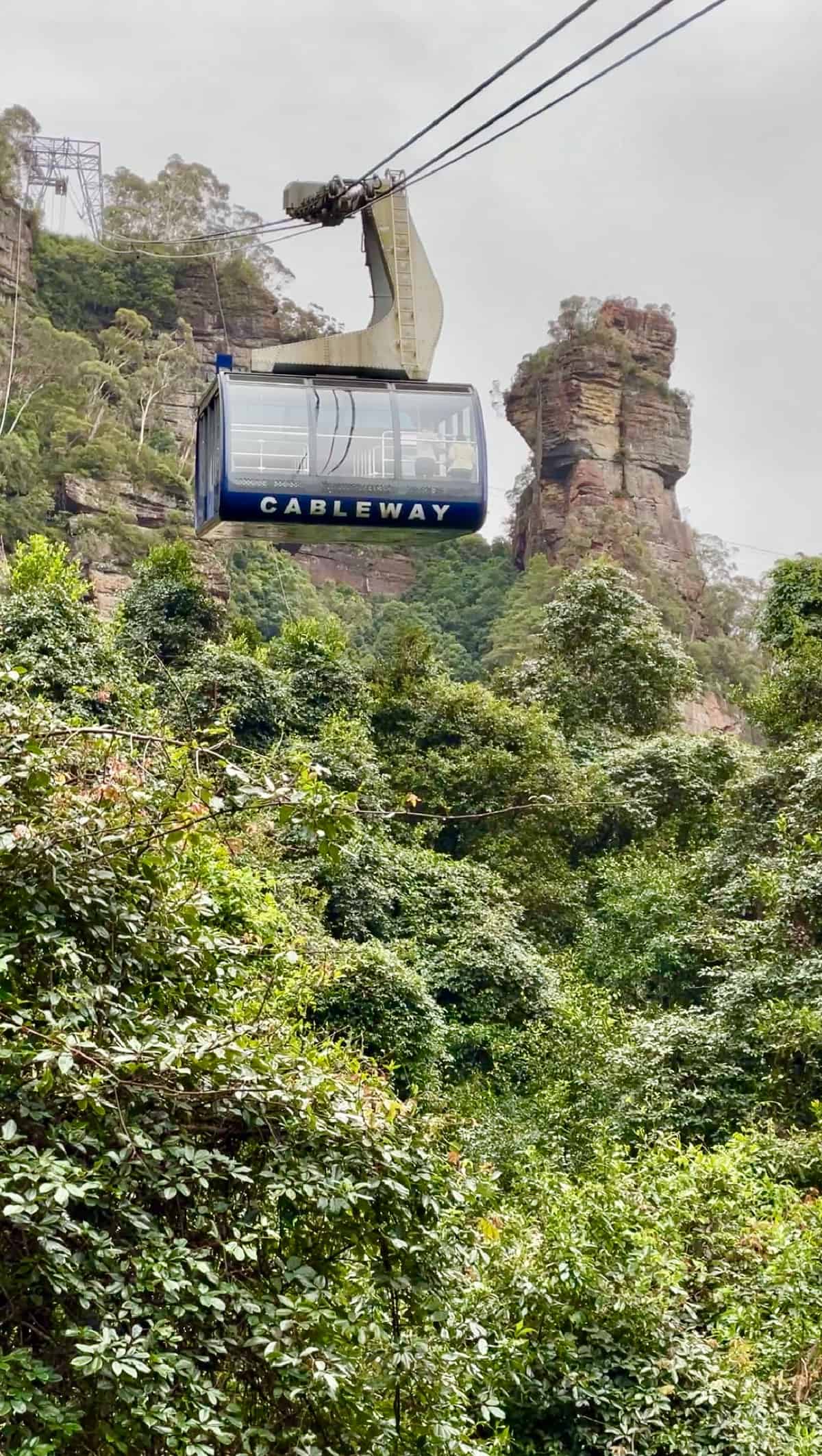 Scenic World Cableway above Jamison Forest.