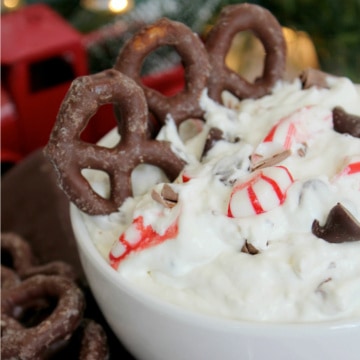 Dessert dip in white bowl with chocolate covered pretzels on top.