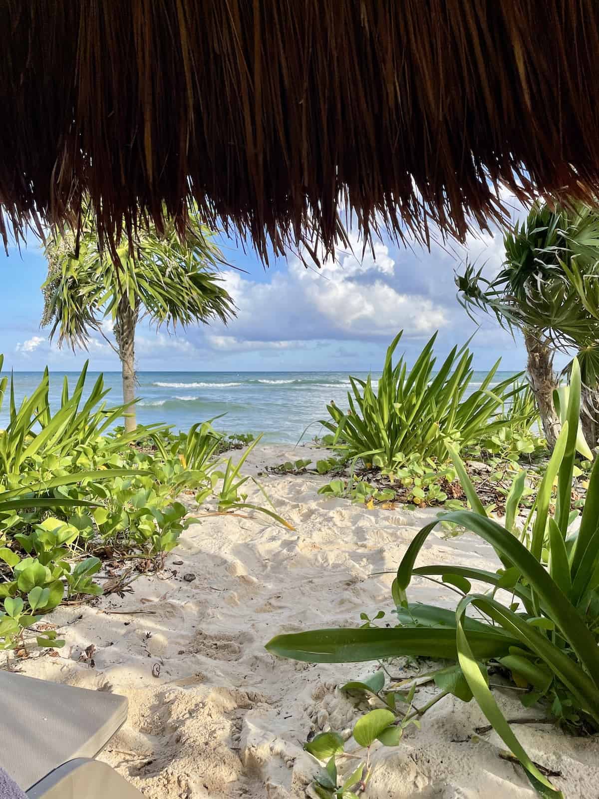 View of the beach.