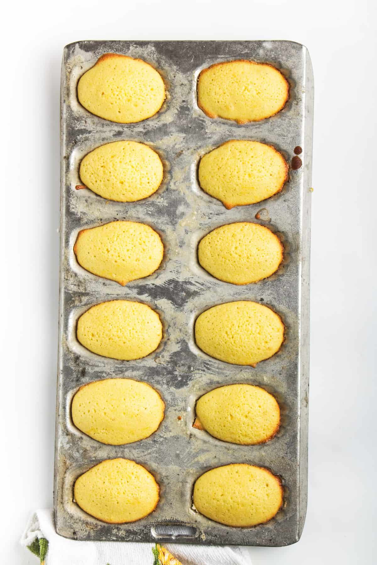 Baked madeleines in a pan.
