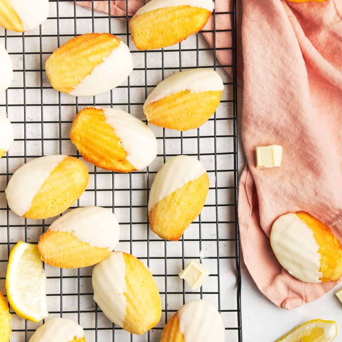 Classic French Madeleine Cookies