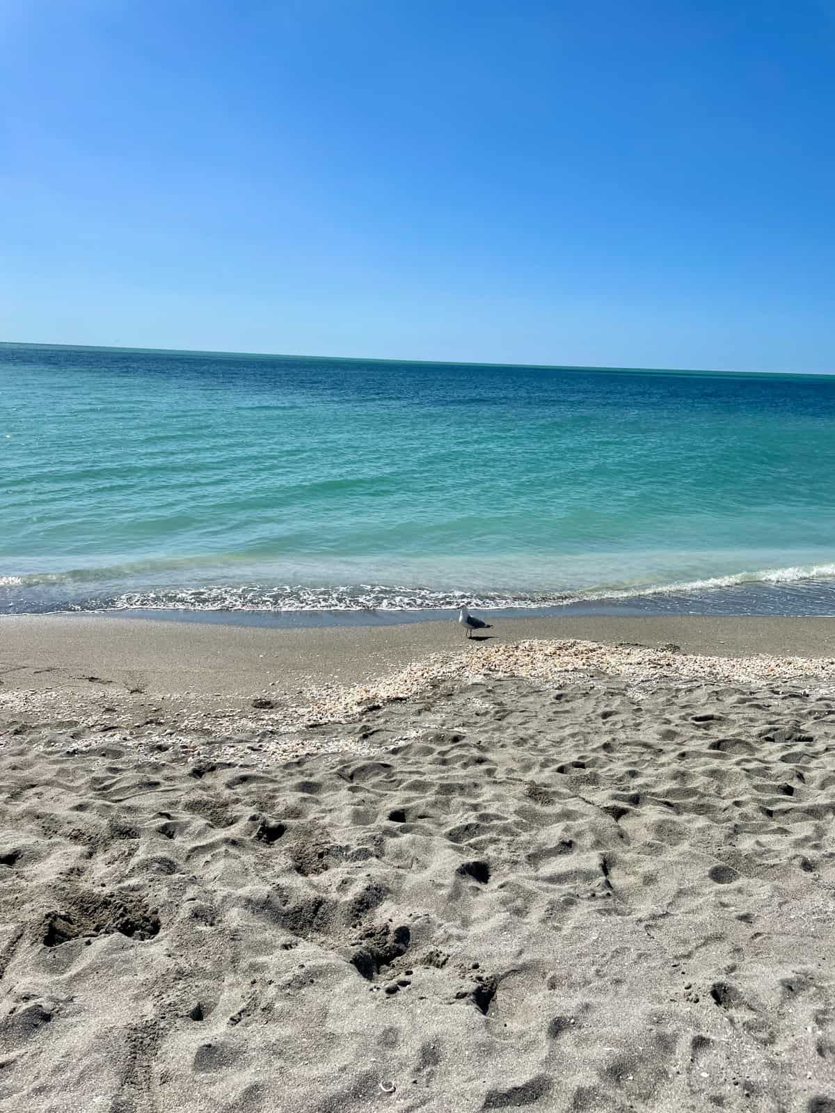 Beach and blue sky at Siesta Key.