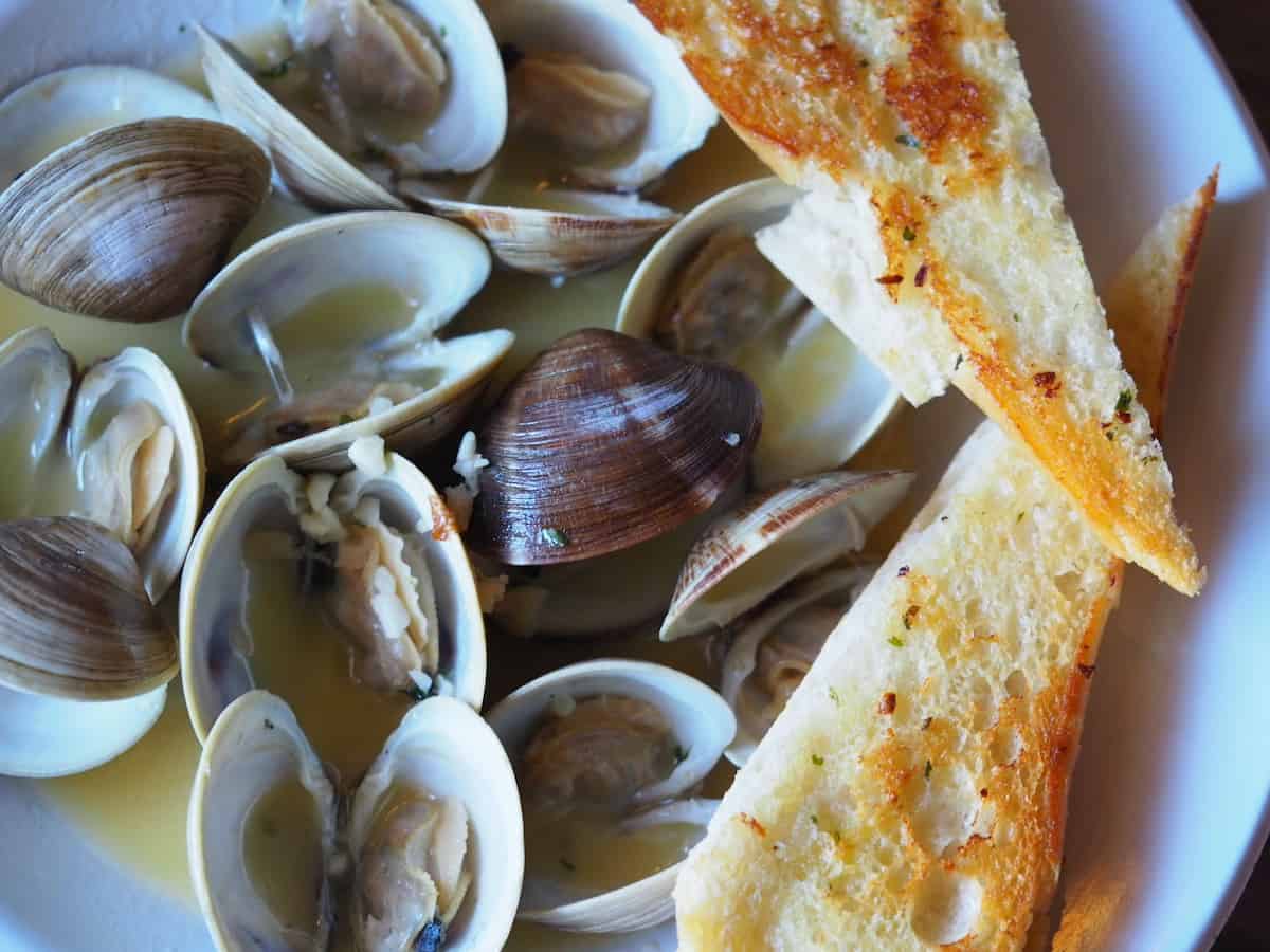 Bowl of steamed clams and bread.
