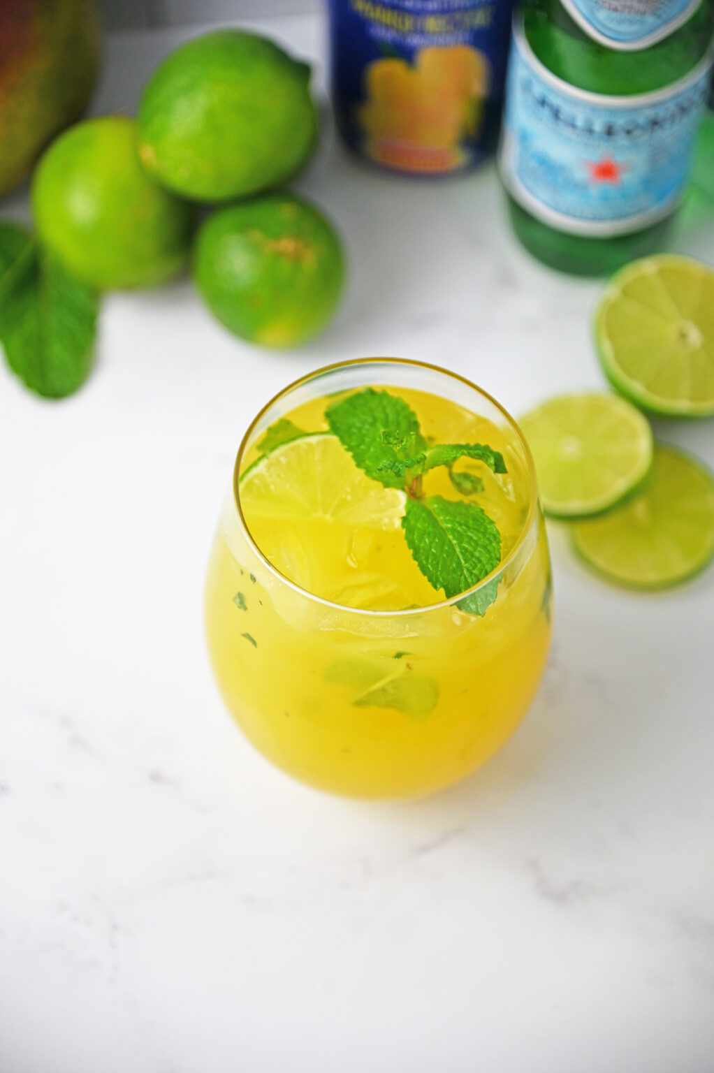 Mango Mojito Food Fun & Faraway Places