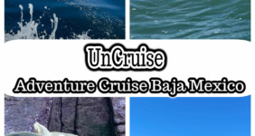 Pinterest graphic for UnCruise.