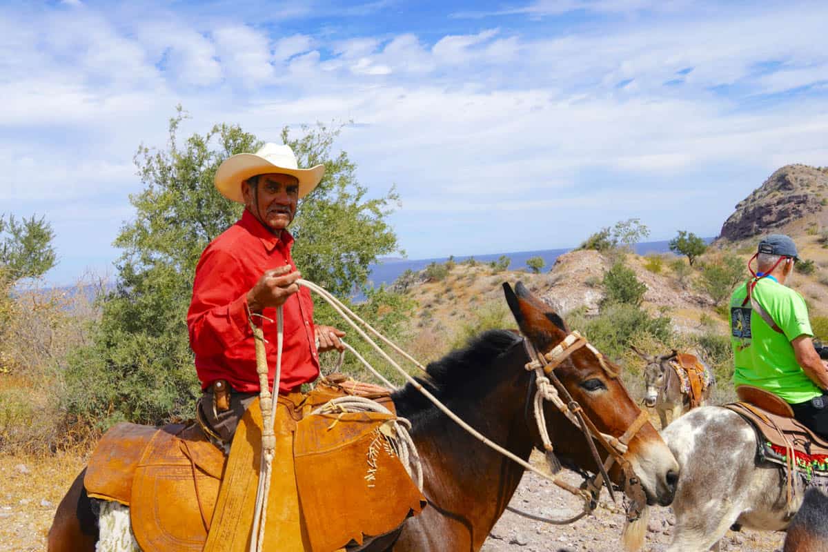 Man on a mule in Baja Mexico.