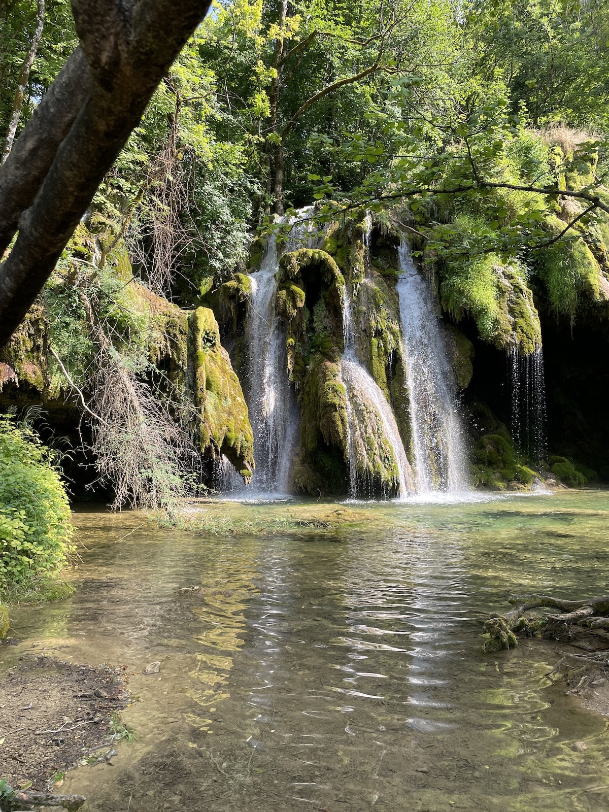 Waterfall against green trees and mossy rocks in the Jura region of France.