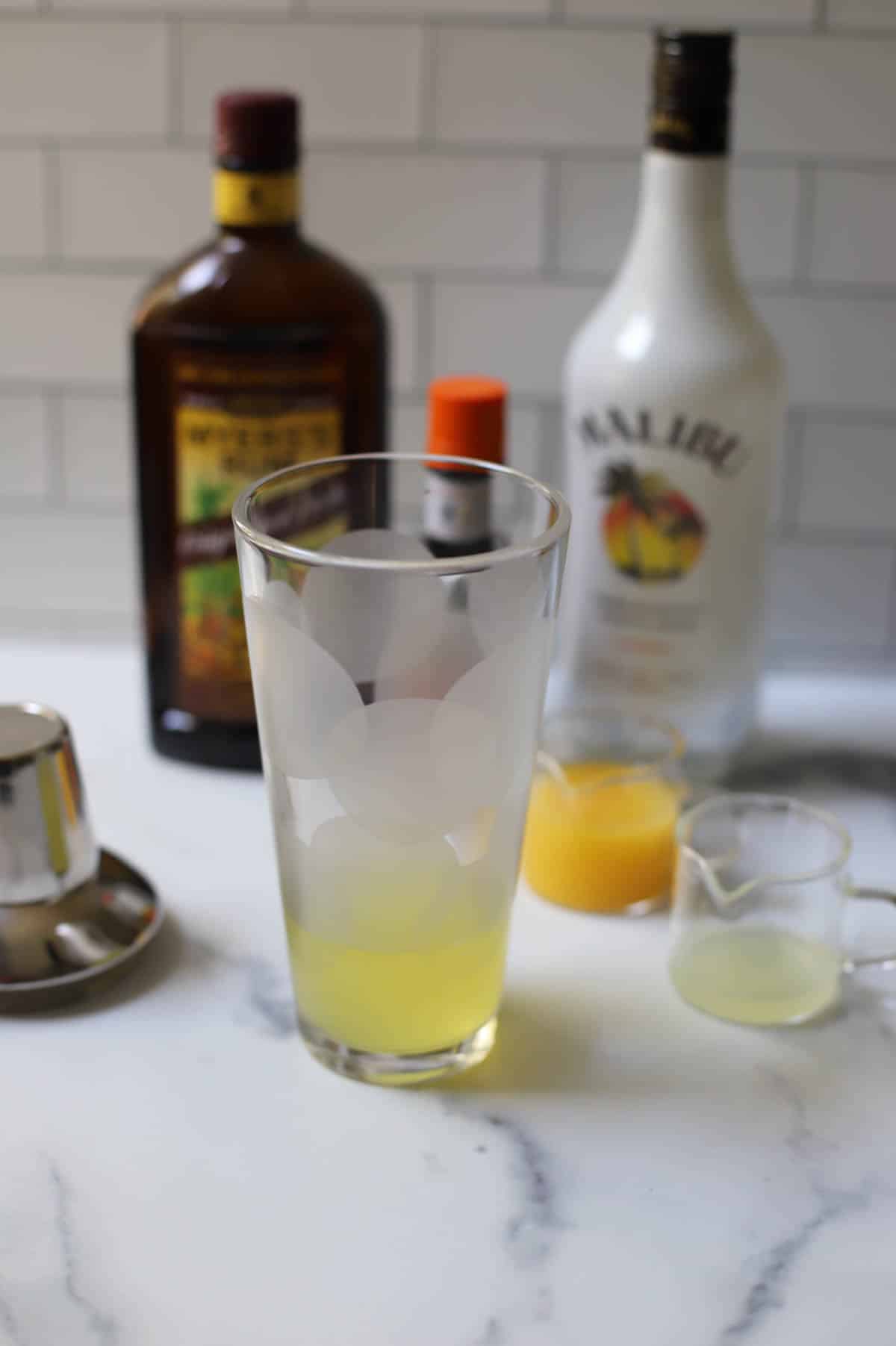 Juice in a cocktail shaker. 