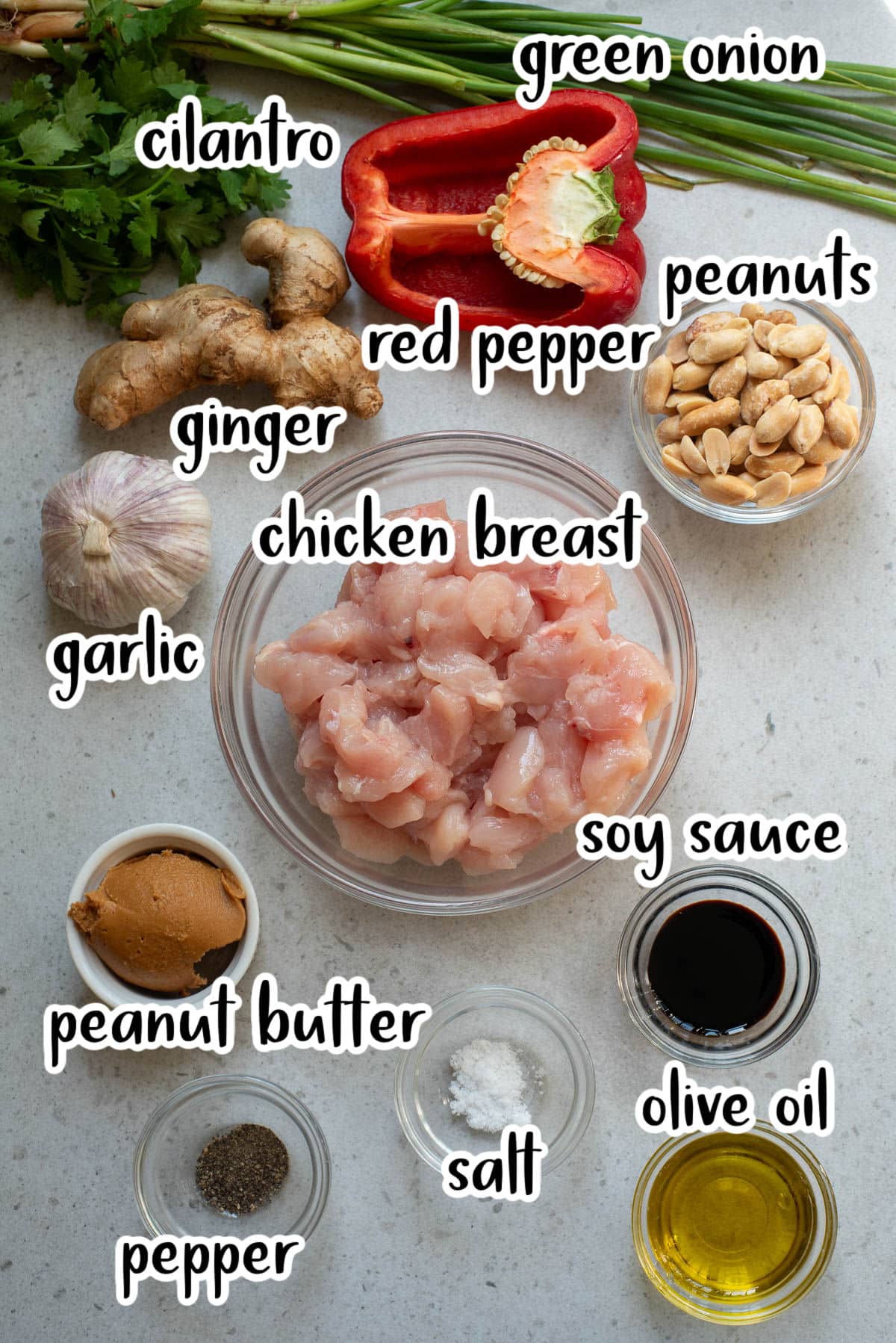 Ingredients for Chinese ginger chicken.