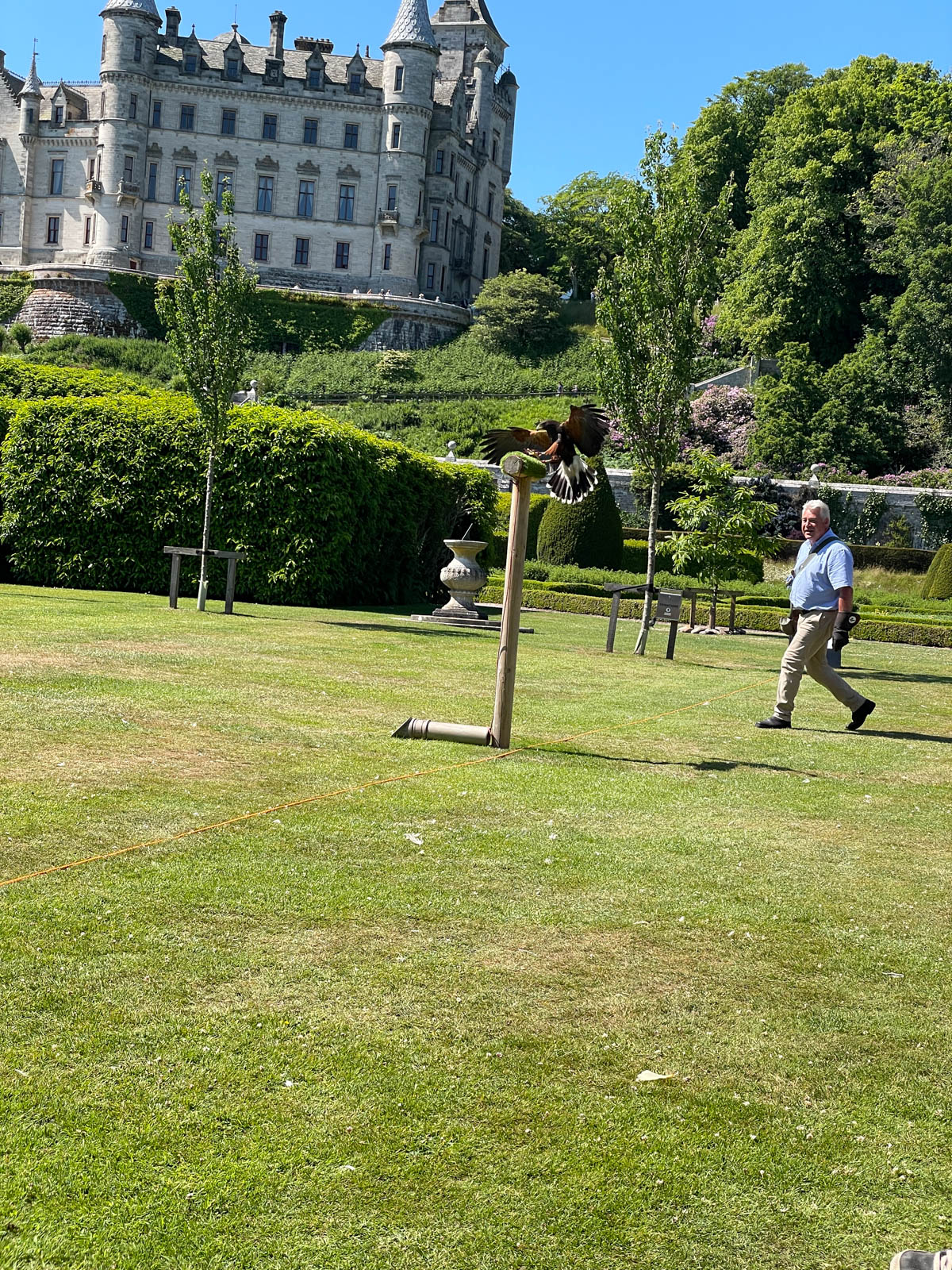 Man training a falcon in front of a castle.