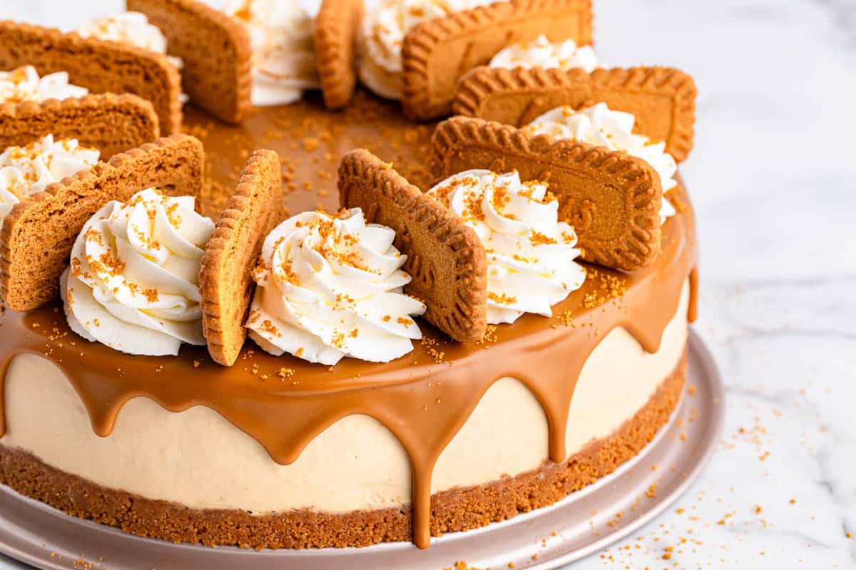 Biscoff cheesecake with whipped cream and cookies.