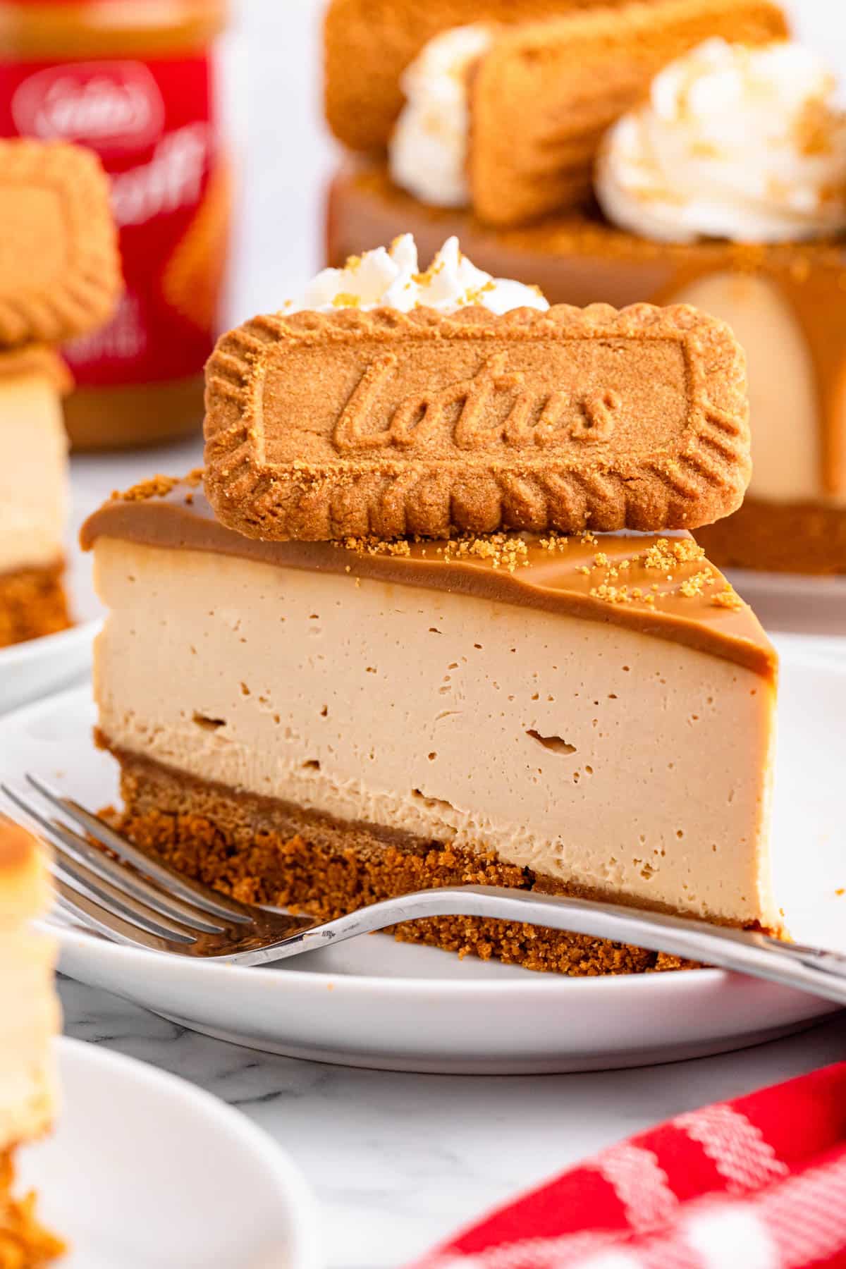 Slice of Biscoff cheesecake decorated with whipped cream and cookies.