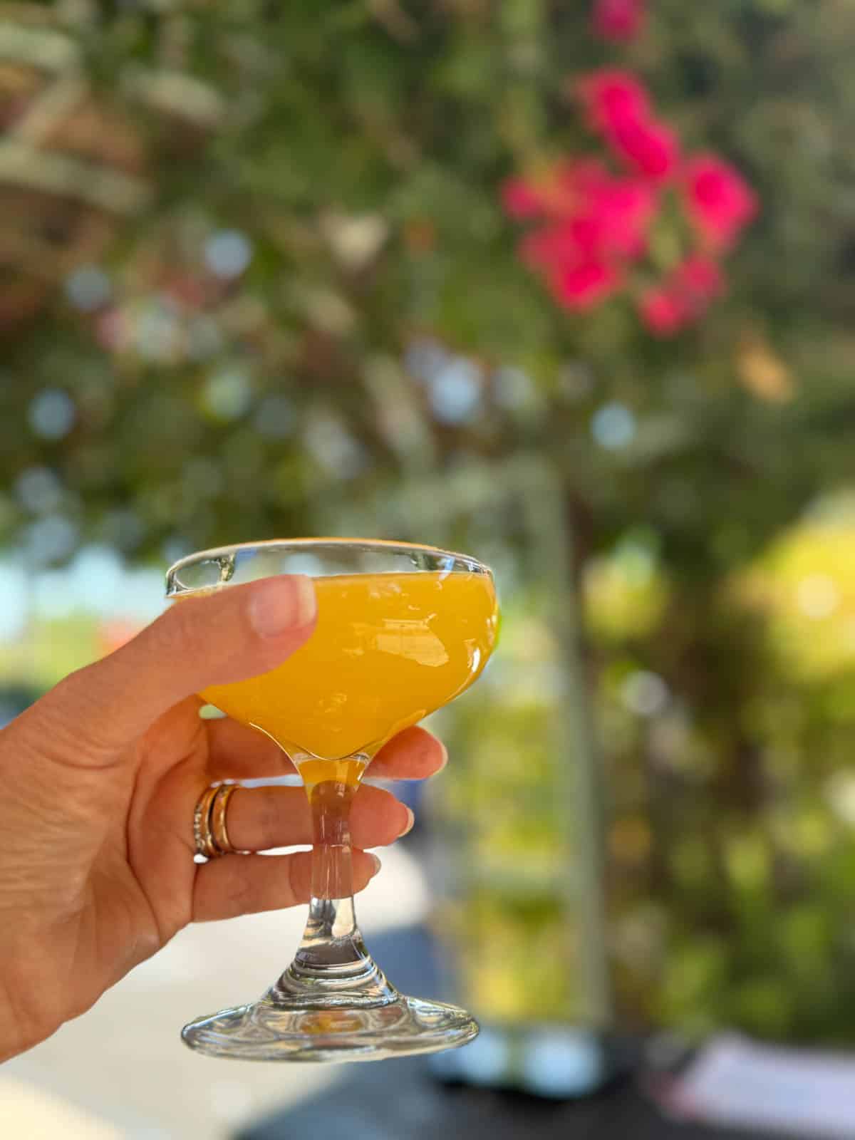 Mimosa cocktail in front of flowering trees.