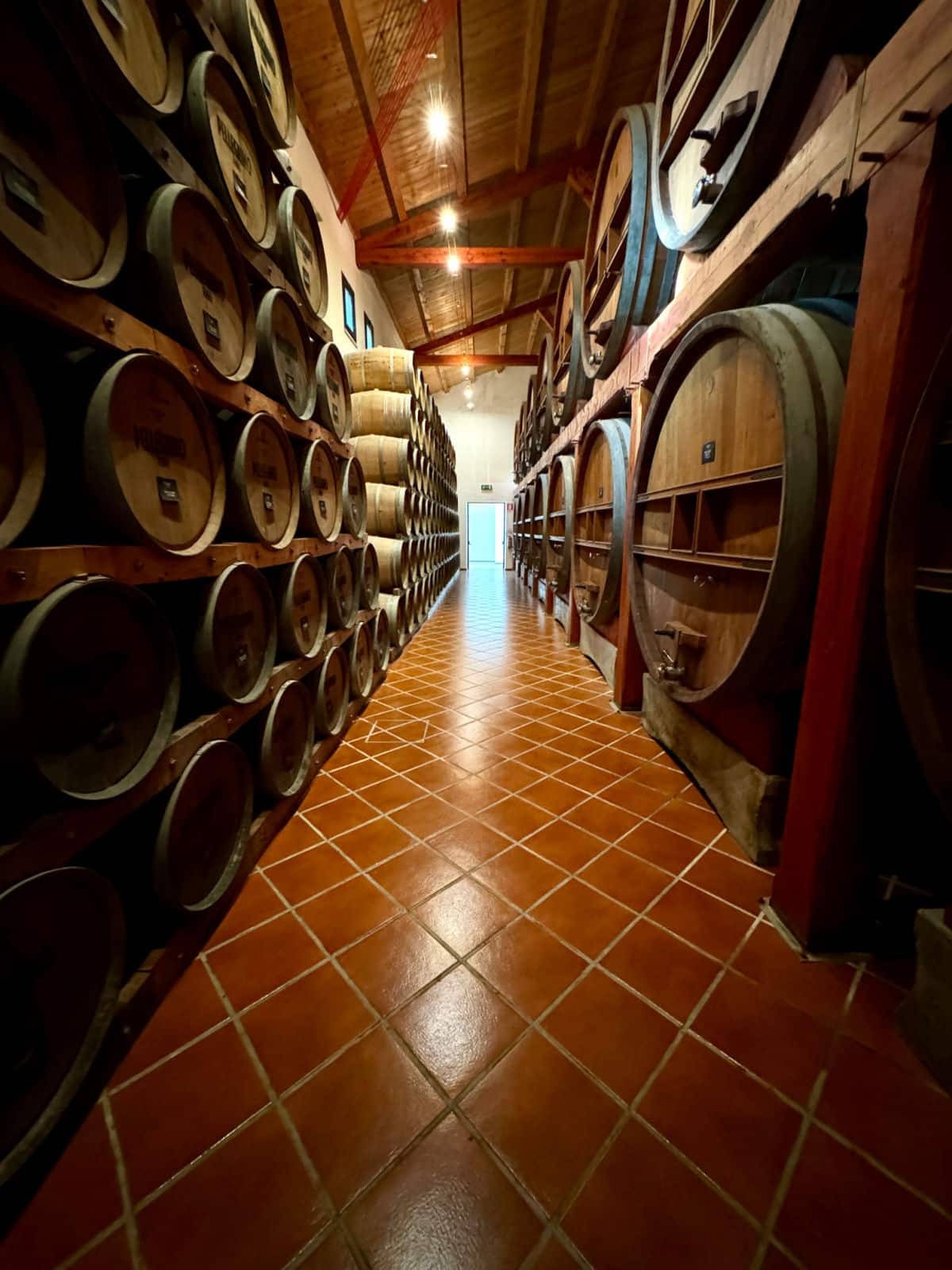 Pellegrino wine barrels.