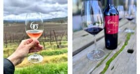 Pinterest image showcasing wineries.