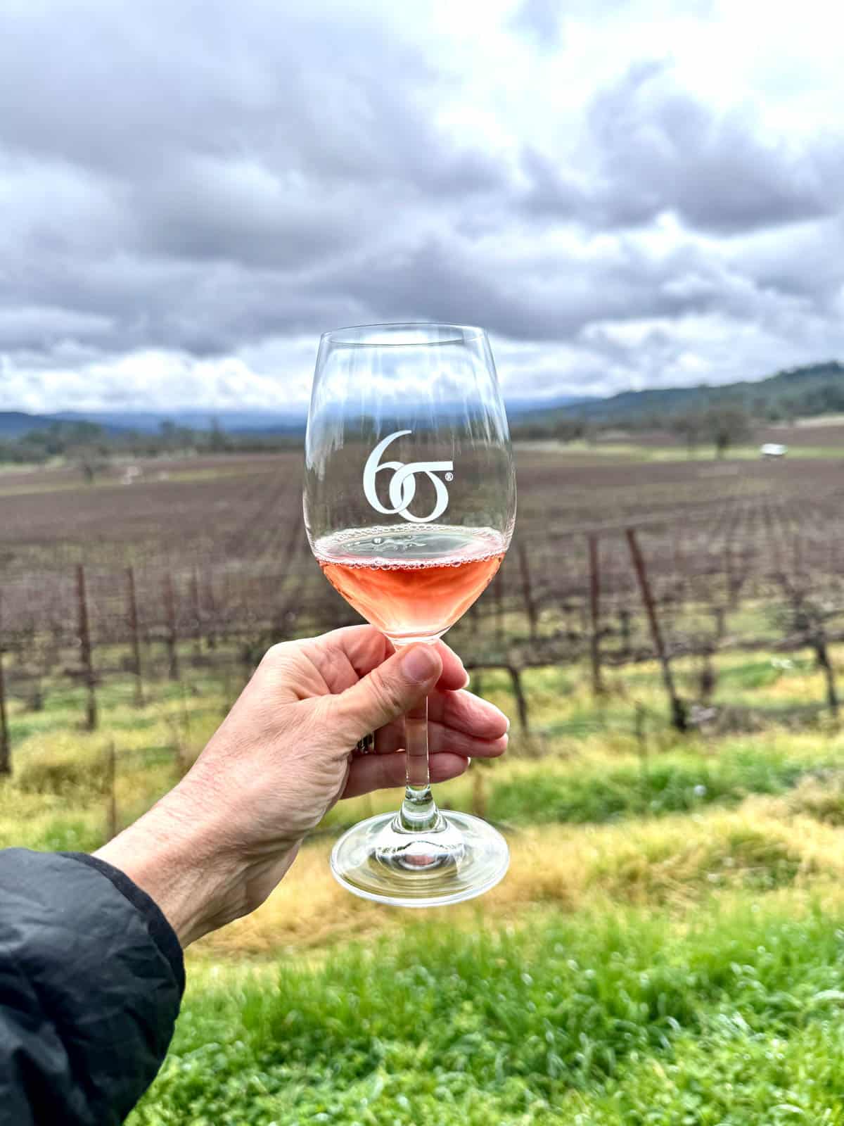 Hand holding a glass of rosé wine in front of a vineyard.