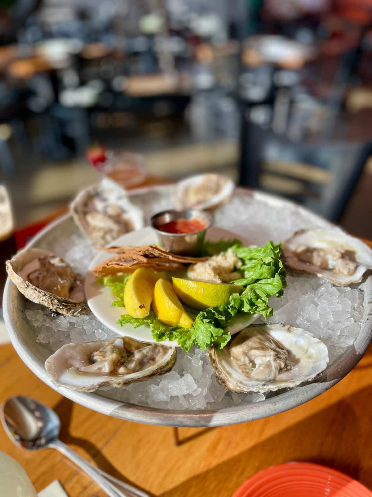 Raw oysters on a plate of ice with lettuce, lemons, and cocktail sauce.