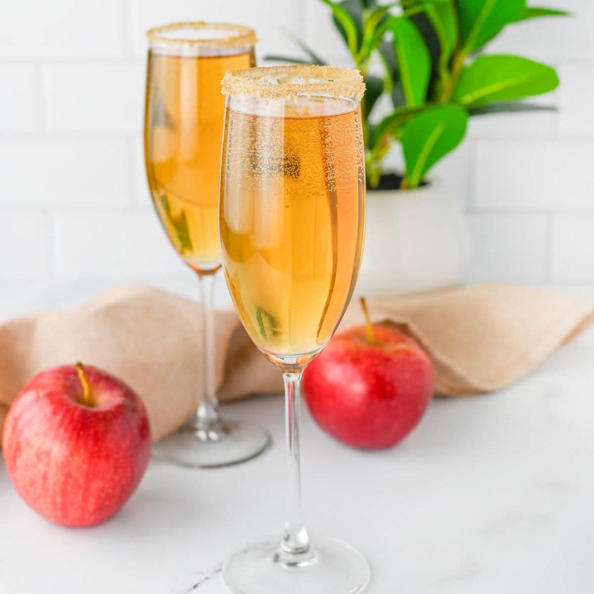 Champagne flutes with apple cider and Prosecco with apples and cloth napkin and plant in background.