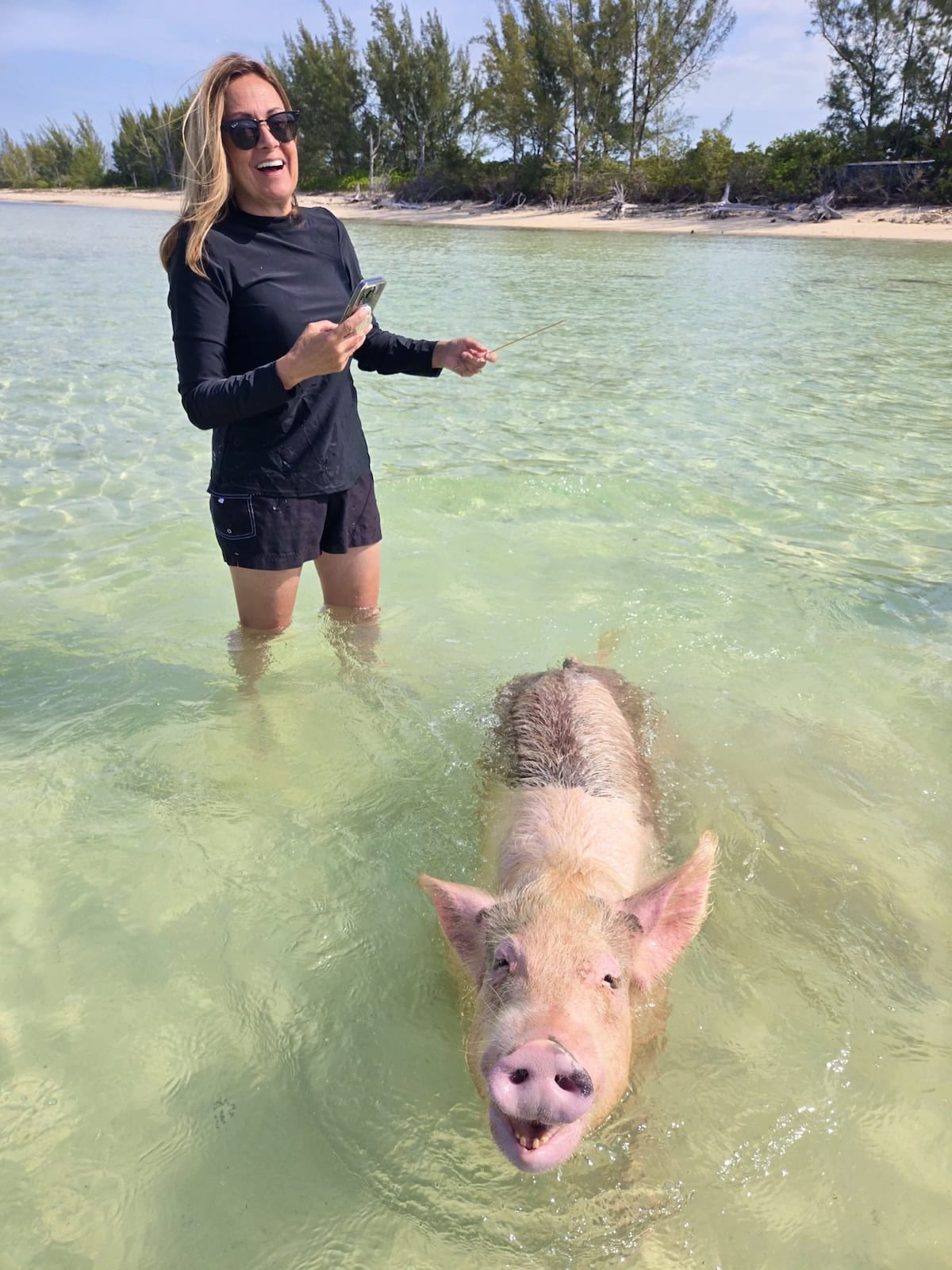 Woman laughing in ocean with a pig.