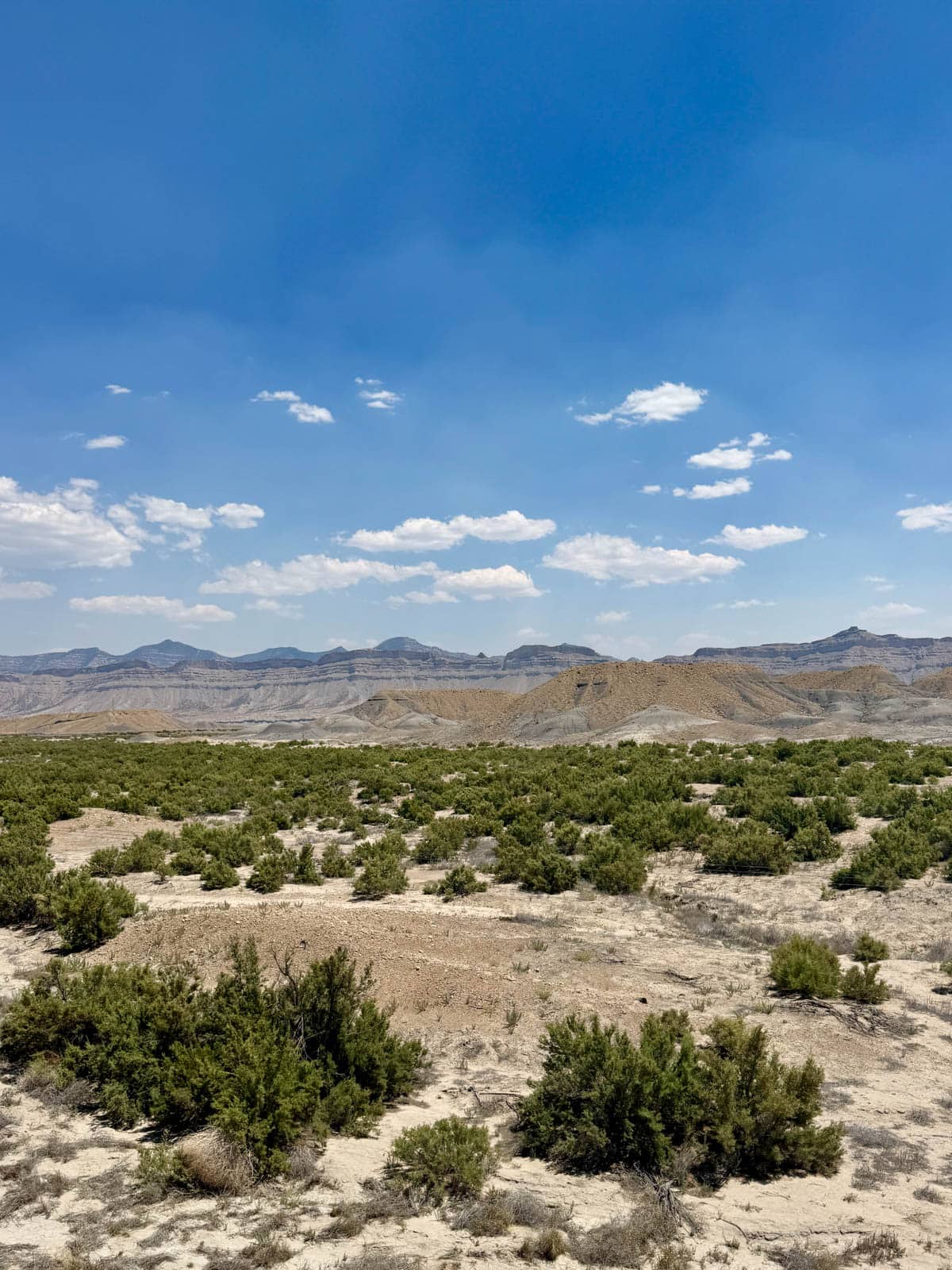 Landscape of Southwest in the United States, mountains and bushes.