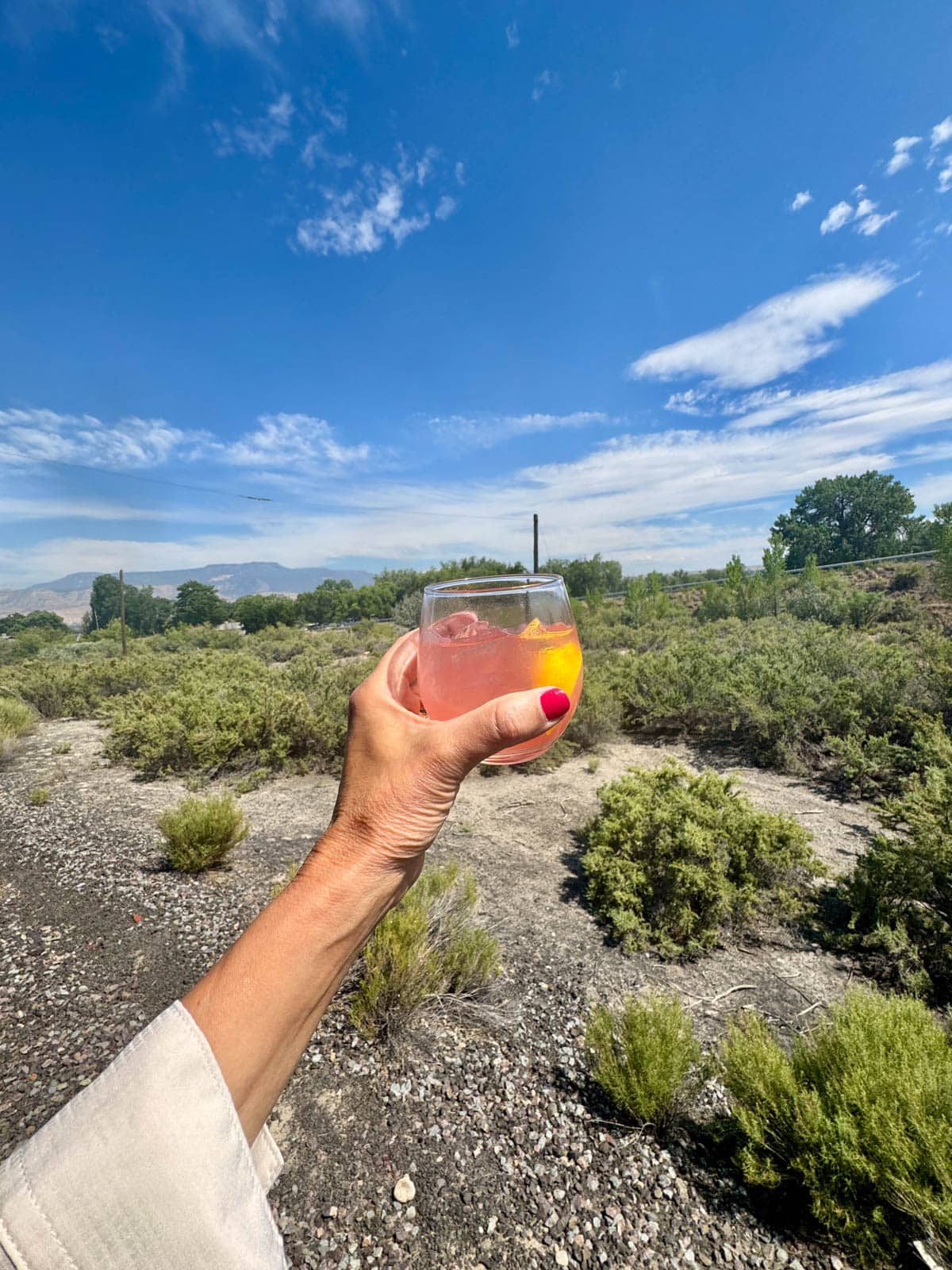 Hand holding a drink in front of blue sky, green bushes, and mountains.