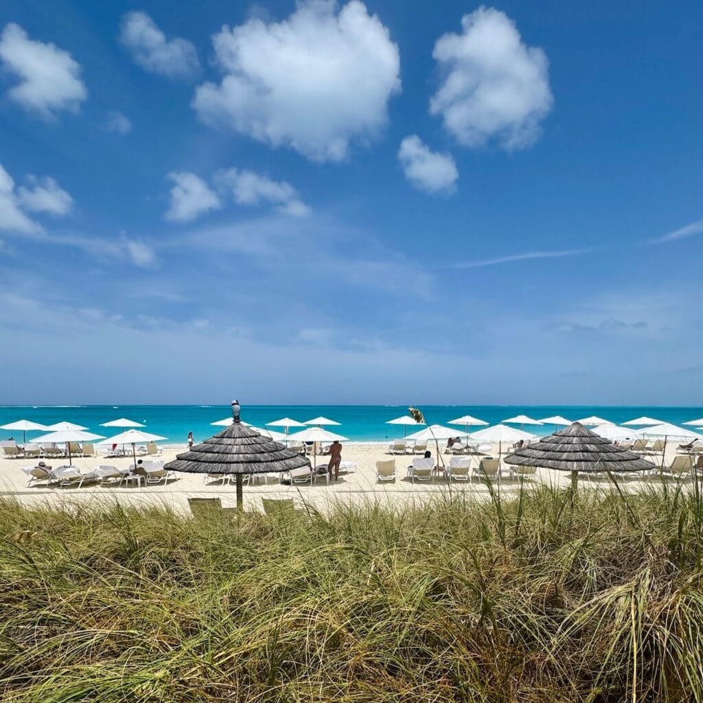 Beach at resort beyond dunes with grasses featured image.