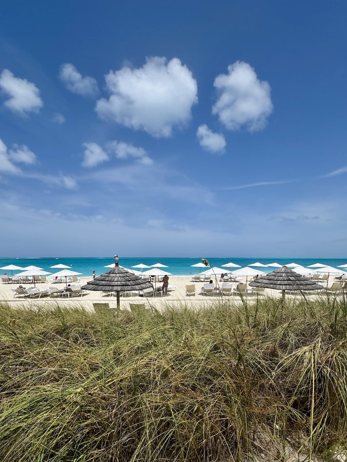 Beach at resort beyond dunes with grasses.