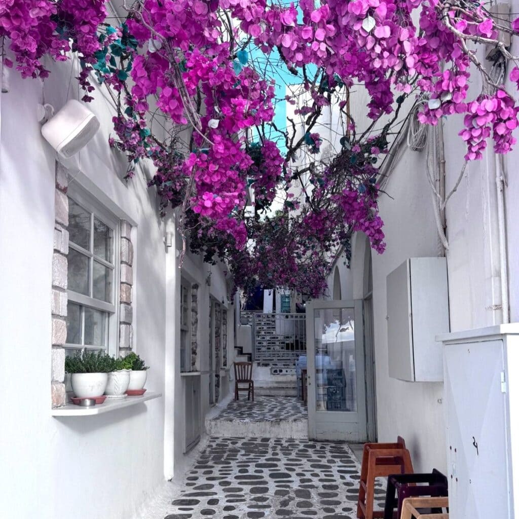 Cobblestone walkway in Naxos with pink flowers above.